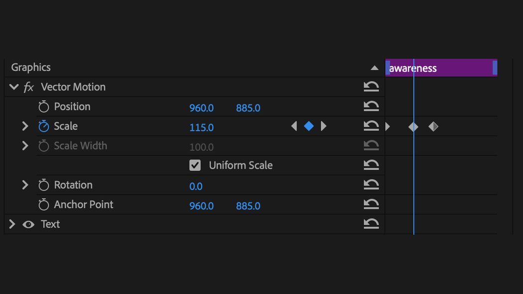 Effect Controls showing a Vector Motion scale keyframe at 115