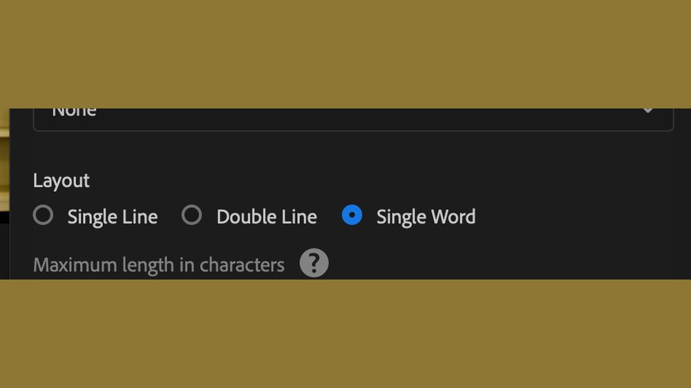 The Create Captions layout options with Single Word selected
